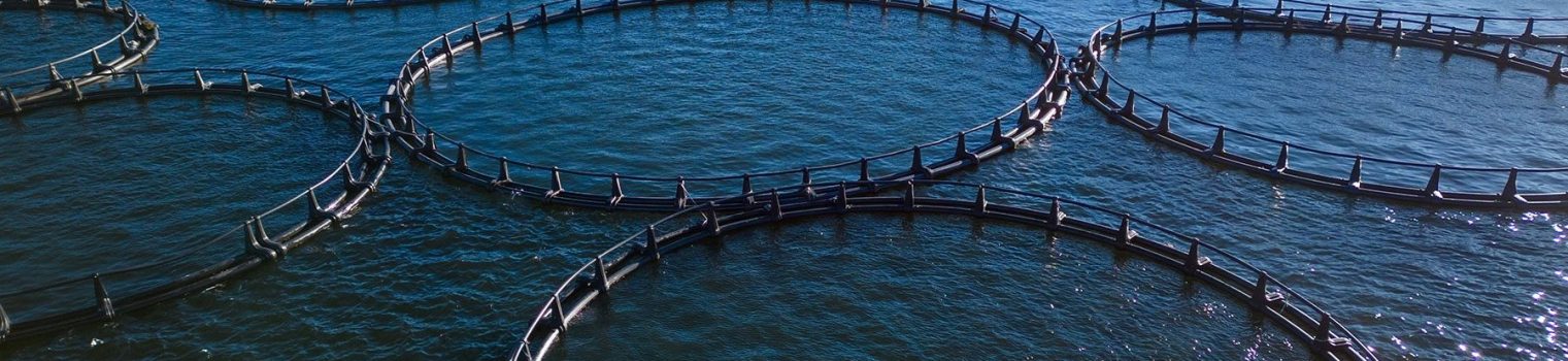 Aquaculture-slider-img (1)