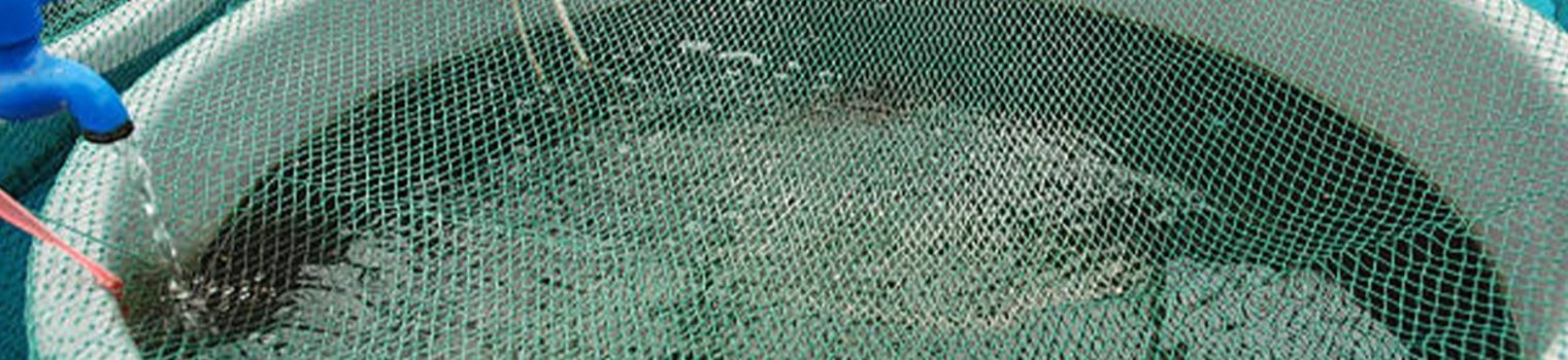 Aquaculture-slider-img (3)